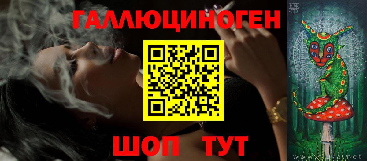 Галлюциногенные грибы Psilocybine cubensis  Вход с VPN  Чайковский 