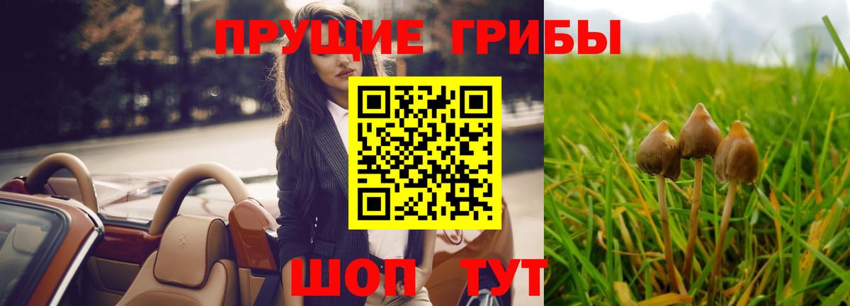 Псилоцибиновые грибы ЛСД Чайковский